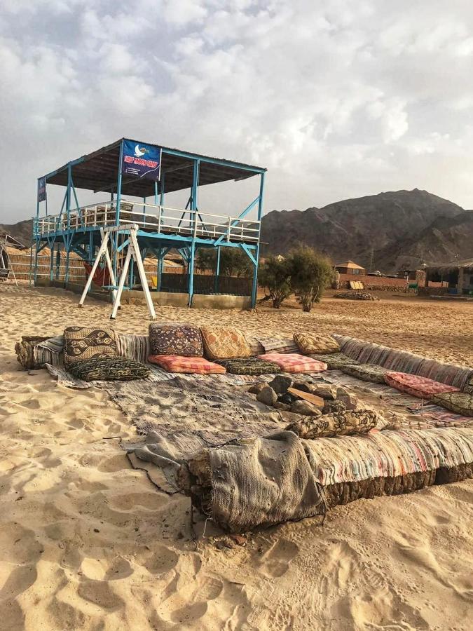 Half Moon Camp Hotel Taba Esterno foto
