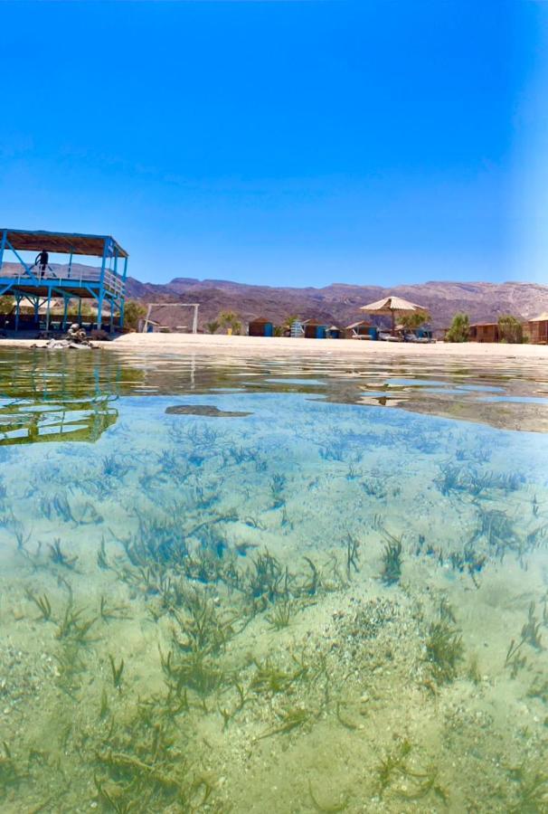 Half Moon Camp Hotel Taba Esterno foto