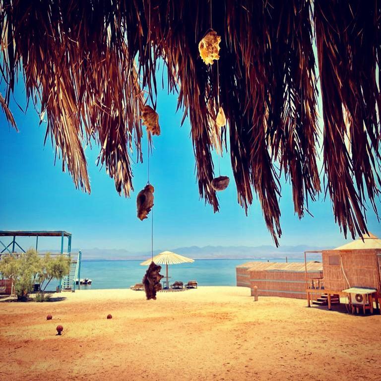 Half Moon Camp Hotel Taba Esterno foto