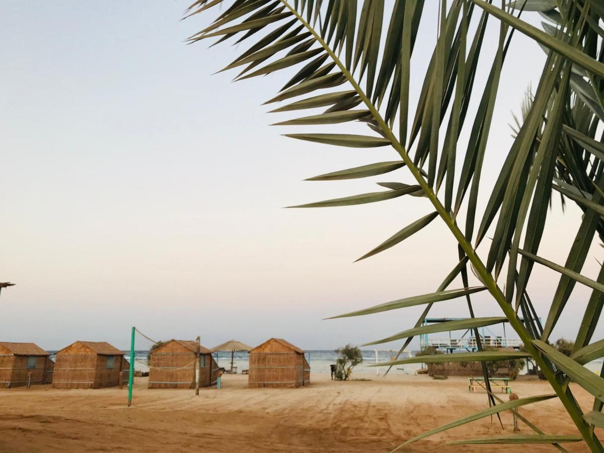 Half Moon Camp Hotel Taba Esterno foto