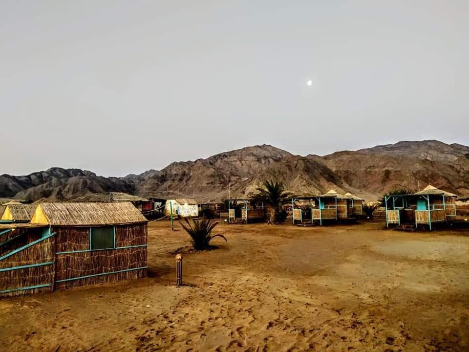 Half Moon Camp Hotel Taba Esterno foto